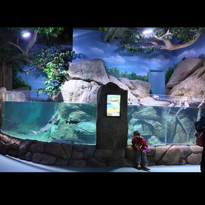 Récif artificiel en acrylique résistant aux chocs pour <span class=keywords><strong>l</strong></span>'aménagement paysager des aquariums - Product Image 2