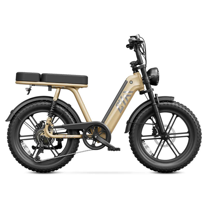 Vélo électrique à graisse brune