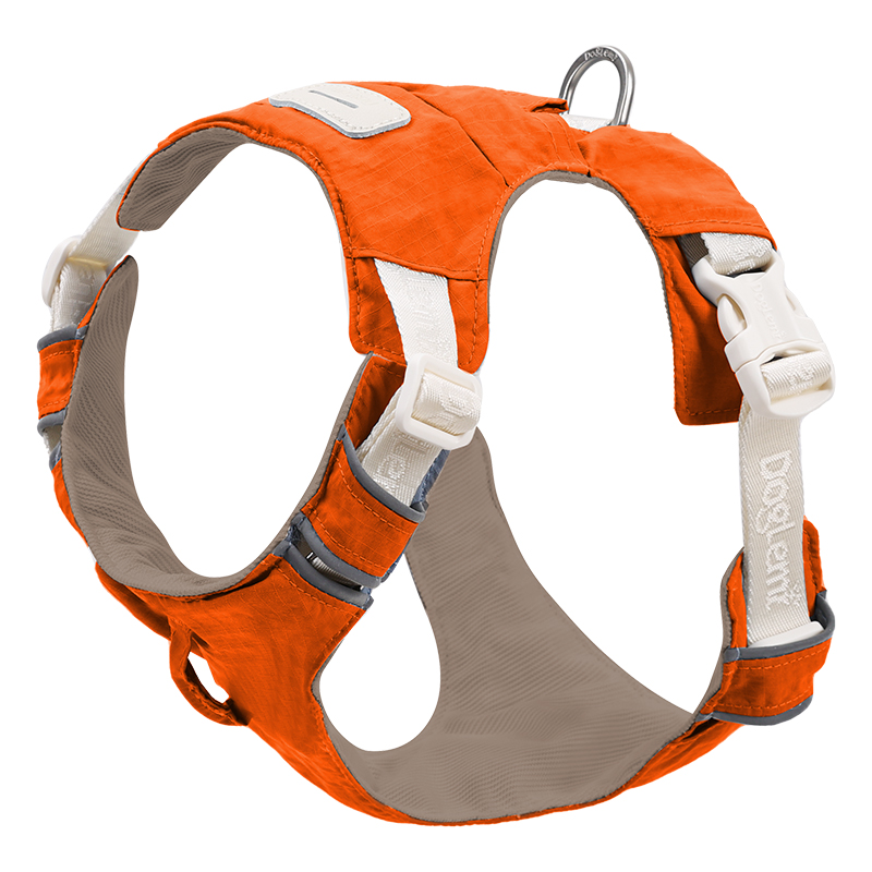 Orange harness