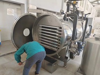Industriële vriesdroogmachine vacuümlyofilisator apparatuur voor het drogen van voedsel, fruit en groenten, fabrieksprijs