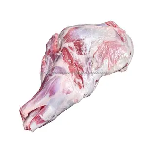 Authentic Frozen Buffalo Shoulders Meat Buffalo Shoulder Export Quality