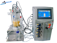 Biorreactor de Laboratorio Bailun con Agitación Magnética, Recipiente de Presión de Acero Inoxidable de 5L, Cultivo de Células y Bacterias, Calentamiento Inferior