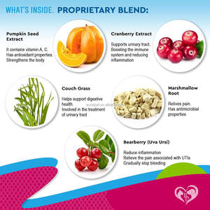 Suppléments de soins de santé pour animaux de compagnie voies urinaires pour chiens chats supplément de santé des voies urinaires joint peau manteau voies urinaires - Product Image 4