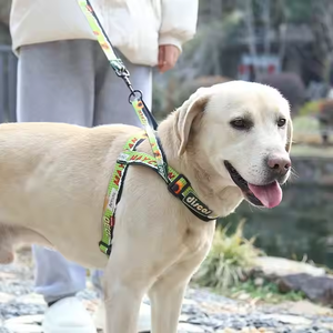Tali kekang anjing peliharaan poliester dapat diatur & kerah anak anjing Aksesori anjing sedang untuk berjalan luar ruangan untuk anjing kecil & kucing - Product Image 1