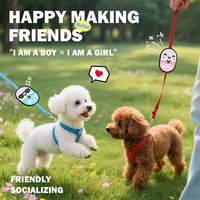 Amovible NO Touch Logo Tag Pet Laisse Avis Patch Chien Autocollant D'avertissement Social pour Pet Service Chiot Laisses