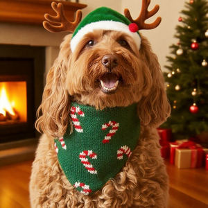 Oem סין סיטונאית לחיות מחמד אספקה אביזרים אישית גור valentine לב כלב חג המולד עבור <span class=keywords><strong>bandana</strong></span> חתול כלב חג המולד - Product Image 6