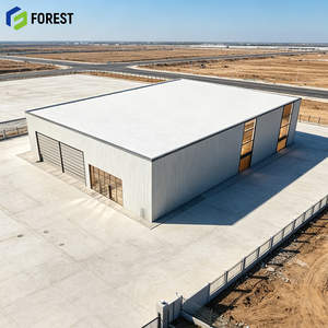 Centro Logístico de Estructura de Acero de Alta Resistencia, Diseño Personalizado, Almacén Prefabricado, Instalación Industrial de Gran Envergadura - Product Image 1