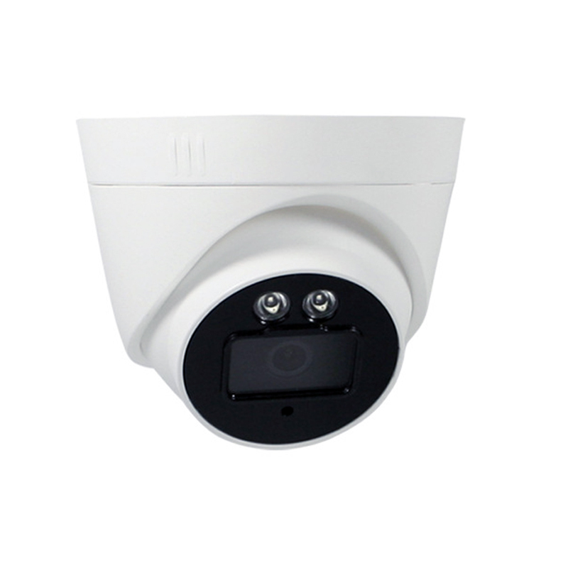 2MP Cctv Camera 2pcs Array IR