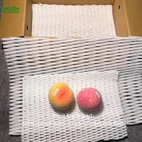 Coussin en mousse EPE, filet de protection pour fruits, coussin antichoc, feuille de mousse anti-rayures