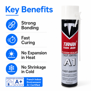 Mastic polyuréthane teinté TIAN JIAN A24 300ml, séchage rapide, adhésif PU monocomposant pour la construction de portes et fenêtres - Product Image 5