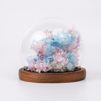Roses éternelles dégradées avec base en bois et dôme en verre rond pour la Saint-Valentin, la Fête des Mères, ou comme cadeau de remise de diplôme