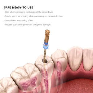 Limes Endo dentaires activées par la chaleur doré NITI <span class=keywords><strong>Flexible</strong></span> prix d'usine limes dentaires limes de canal radiculaire rotatives outil de dentisterie - Product Image 3