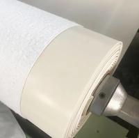 Membrane d'étanchéité PENNROLL TP TPO renforcée en polyester, résistante à l'eau, haute résistance, garantie 5 ans, sous-couche imperméable pour extérieur