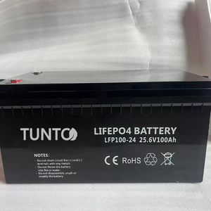 Prix Grossiste 2026 – Batteries Solaires LiFePO4 à Décharge Profonde 12V/25.6V 100Ah/200Ah – Convient aux Onduleurs Thinkpower - Product Image 3