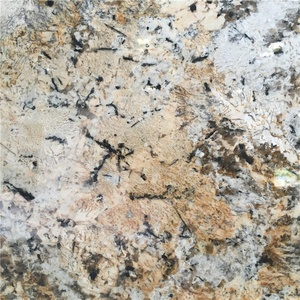 Poli Exotiques <span class=keywords><strong>Beige</strong></span> Doré Granit Pierre pour Décoration D'intérieur - Product Image 4