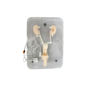 Simulador de Entrenamiento Ureteroscópico SY-NS12-1, Sistema Completo de Entrenamiento en Endoscopia Urológica para Estudiantes de Medicina - Product Image 1