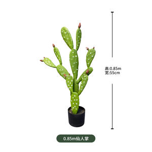 Decorazione interna Erevgreen in plastica <span class=keywords><strong>cactus</strong></span> piante finte piante di simulazione pianta tropicale <span class=keywords><strong>Cactus</strong></span> artificiale - Product Image 6