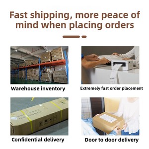 Juguetes Sexuales para Adultos Leapfrog T305/T450/T480 Copa de Masturbación Realista con Sonido de Succión - Product Image 4