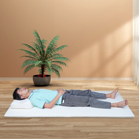 Usine de surmatelas personnalisé-Service OEM/ODM pour l'hôtel et la vente en gros, accepter la conception et le logo, commande en gros