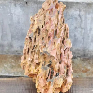Sustrato para Terrarios, Roca de Pino, Piedra Dragón, Decoración para Acuarios, Piedra para Acuapaisajismo - Product Image 6