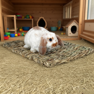 Küçük hayvanlar doğal çim Timothy Timothy Hay Mat & kafes Hay yatak Critter dokuma çim Chew oyuncak Mat küçük hayvan yatak Mat - Product Image 3