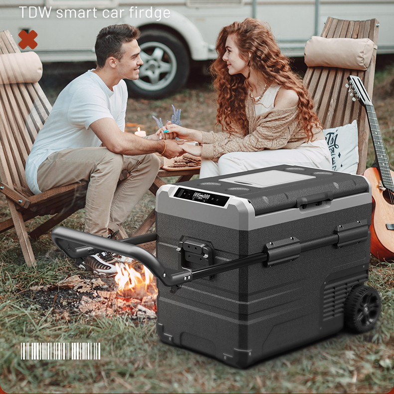 TDW60 Alpicool Car Fridge - Dual Zone, AC/DC, 12V Compressor