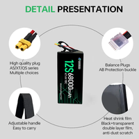 Qiqi UAV batterie à semi-conducteurs 79000mAh 68000mAh 6S 12S 14S 18S 24S 23.7V 47.4V 55.3V 71.1V 94.8V