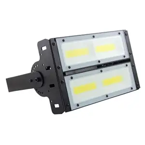 전문 디자인 태양 광 Led 야외 조명 Led 100w 조명 야외 방수 알루미늄 경찰 빛 80 IP65 -20 - 60 120