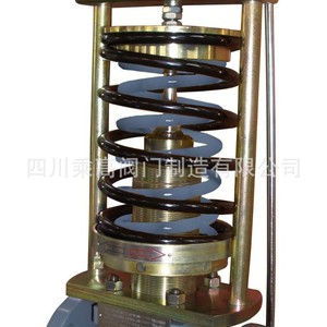 Vanne de régulation de pression auto-constituée à commande électrique, type boule, pour applications de chauffage, réglage de la hauteur de levage 1-300 - Product Image 5