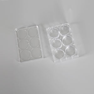 Pelat budaya tisu sel 6 sumur transparan dengan dasar datar terbuat dari bahan PS tahan lama - Product Image 4