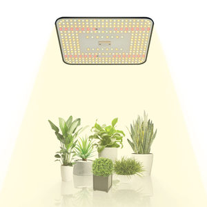 100W Samsung 281B LED Grow Light Espectro completo Planta de <span class=keywords><strong>cultivo</strong></span> de plantas de <span class=keywords><strong>interior</strong></span> LED Grow Light - Product Image 1