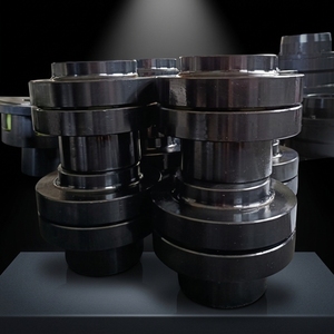 Giunto per Albero di Pompa a Vuoto ad Alta Precisione con Elevata Coppia e Bassa Vibrazione per Macchine di Rivestimento a Evaporazione - Product Image 1