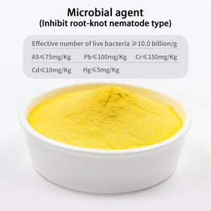 Regolatori di crescita in piante Bacillus Subtilis polvere Megaterium agenti microbici che - Product Image 4