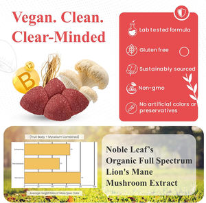 Gummies de haute qualité à base de champignon crinière de lion de marque privée, améliorent la concentration, la créativité, le soutien de l'humeur, gummies énergétiques stables - Product Image 4