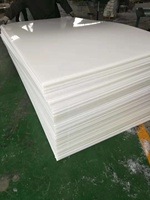Feuille en plastique polypropylène massif, plastique vierge, 3mm 5mm 10mm 20mm 30mm, taille 4x8mm