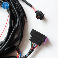 Harnais de câblage de moto personnalisé pour les clients, harnais de câblage de vélo électrique, harnais de câblage haute tension, harnais de câblage de sécurité ADAS