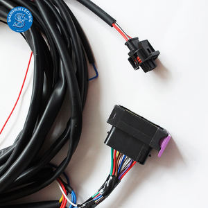 お客様のためのカスタマイズされたオートバイ配線用ハーネス - Product Image 2