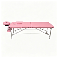 Table de massage pliable stable à 2 sections avec pieds en acier inoxydable, table de thérapie professionnelle pour salon de spa