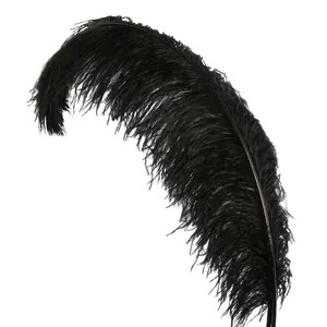 Craft Costume Home Wedding 10pcs Feather 22-24 Inch 55-60cm Black Ostrich Feathers Plume