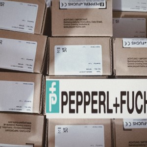 รีเลย์นิรภัย Pepperl Fuchs KFD0-RO-Ex2 24V แบบเทอร์มินัลบล็อก ปลอดภัยภายใน สำหรับใช้งานในอุตสาหกรรม - Product Image 2