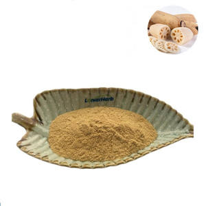 天然水溶性Nelumbo Nuciferaエキス蓮根葉エキス粉末 - Product Image 1