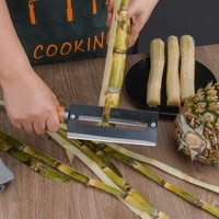 Handmatige multifunctionele suikerriet- en ananasschiller van verdikt koolstofstaal voor harde schillen - voor gebruik in de keuken, fruit en groenten