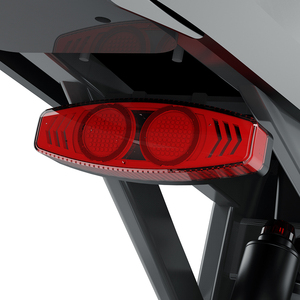 NUOVA COSWHEEL R19 MAX Moto Elettrica da Fuoristrada 4000W di Potenza Massima 10340W 72V 40Ah Mid Drive <span class=keywords><strong>E</strong></span>-<span class=keywords><strong>bike</strong></span> da Fuoristrada 90km/h Motocicletta Off-Road - Product Image 5