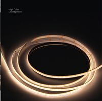 Bande lumineuse LED flexible haute tension AC220V, étanche, pour extérieur, décoration de jardin, 10W, néons