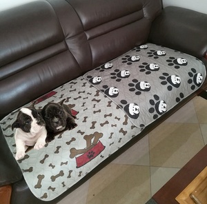 Lavable cachorro formación pis almohadillas reutilizables perro y cachorro esteras con Ultra rápida absorción Soaker respaldo impermeable de PVC - Product Image 3