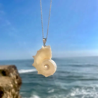 3-5cm Conque Naturelle avec Pendentif en Coquillage de Perles Pendentif Punk Conque Chaîne en Acier Inoxydable Bijoux de Plage d'Été Hawaii