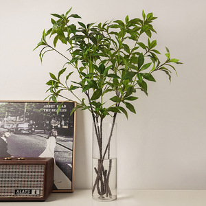 Fleur artificielle en soie Behan Mei Ma Drunk Wood, plante verte artificielle, 80 cm, décoration murale suspendue, décoration intérieure, salon, vente en gros - Product Image 3
