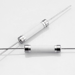 Cầu chì gốm 3.6*10 5*20 6*30mm 100mA 200mA 500mA <span class=keywords><strong>1A</strong></span> 2A 3A 4A 5A 6A 8A 10A 15A 20A 25A 30A 40A 50A amp 250V/125V - Product Image 1