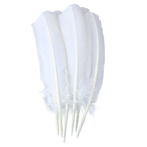 Vente en gros de plumes de faisan et de paon naturelles magnifiques pour décorations de mariage/de fête - Product Image 4