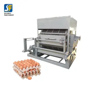 Machine de fabrication de plateaux à œufs de poule en pulpe à papier, machine pour la fabrication de plateaux en carton à œufs, usine aux Philippines